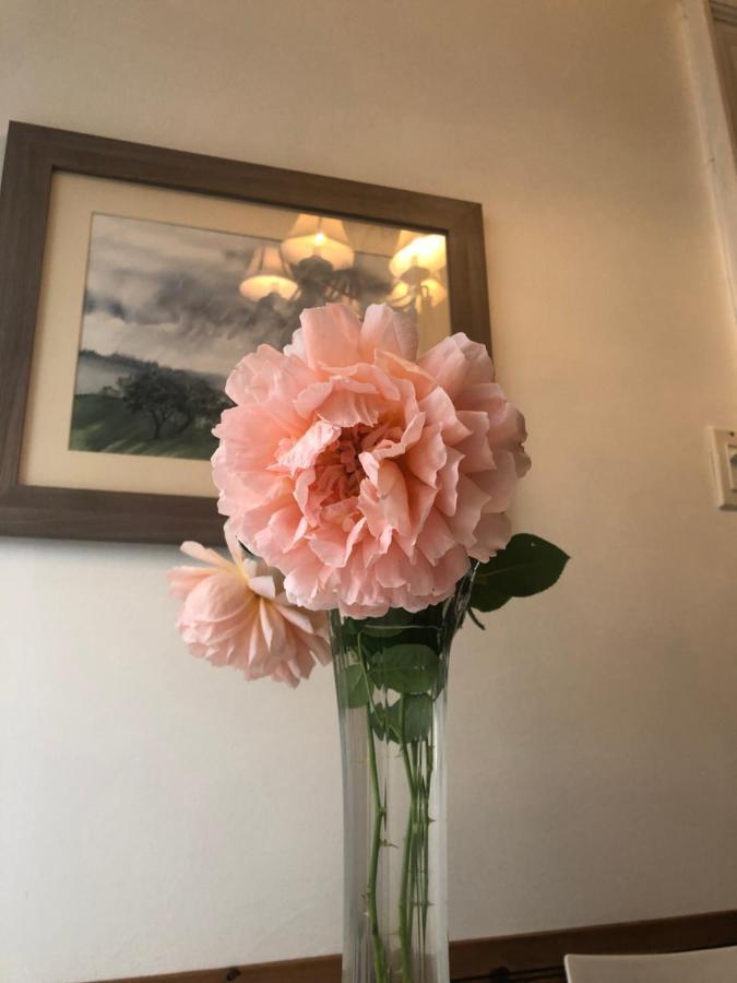 Ambassador B&B Оттава Екстер'єр фото