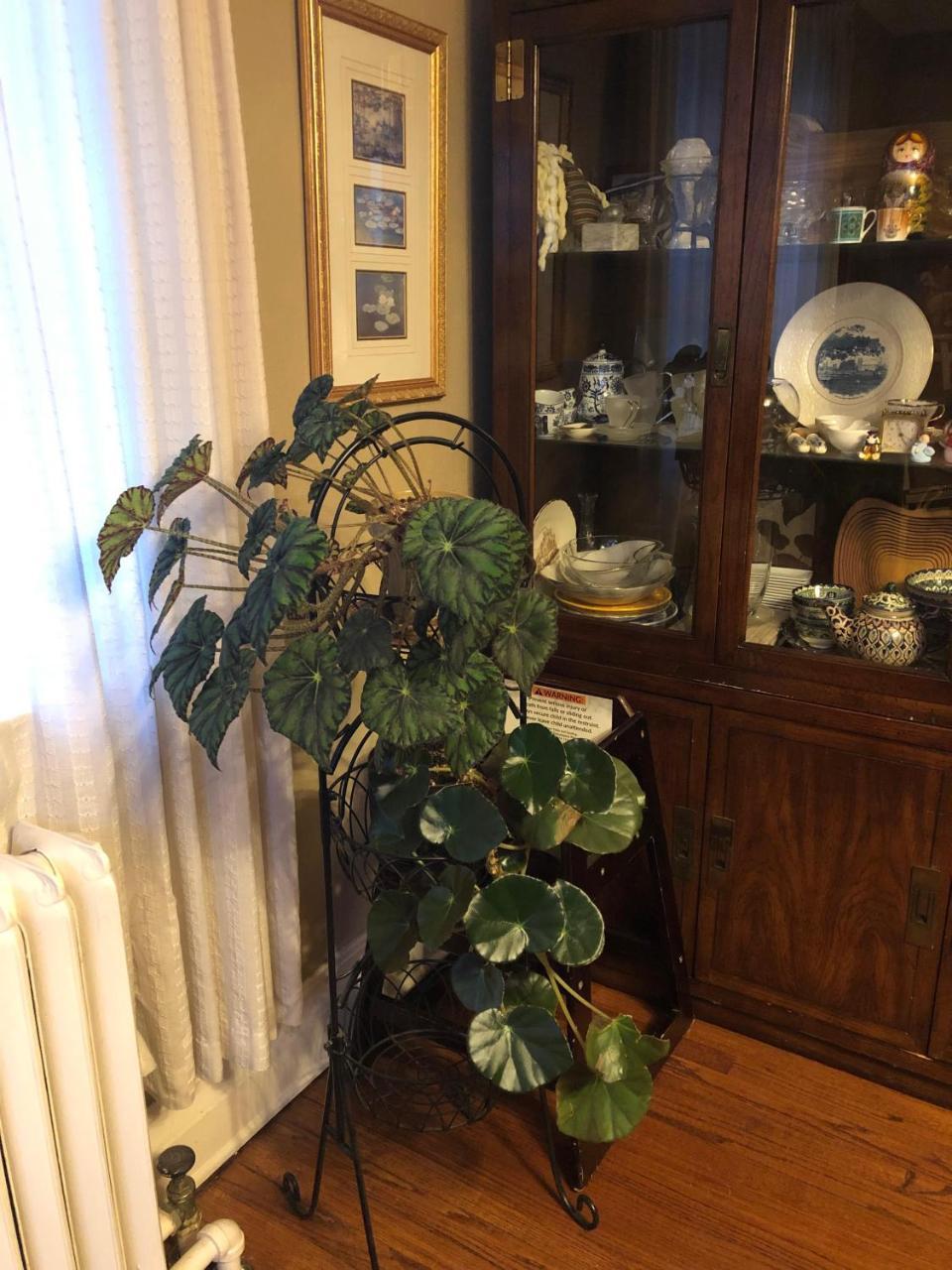 Ambassador B&B Оттава Екстер'єр фото